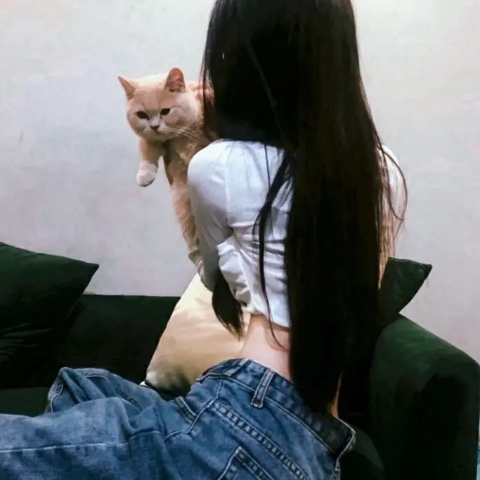 女人街一族的阴谋